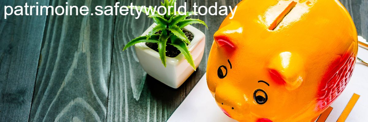 patrimoine.safetyworld.today